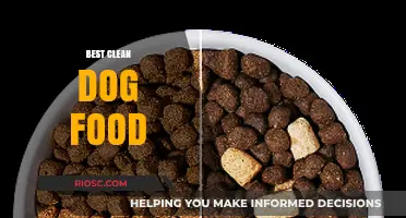 Top Picks for Your Pooch: The Best Clean Dog Food Options