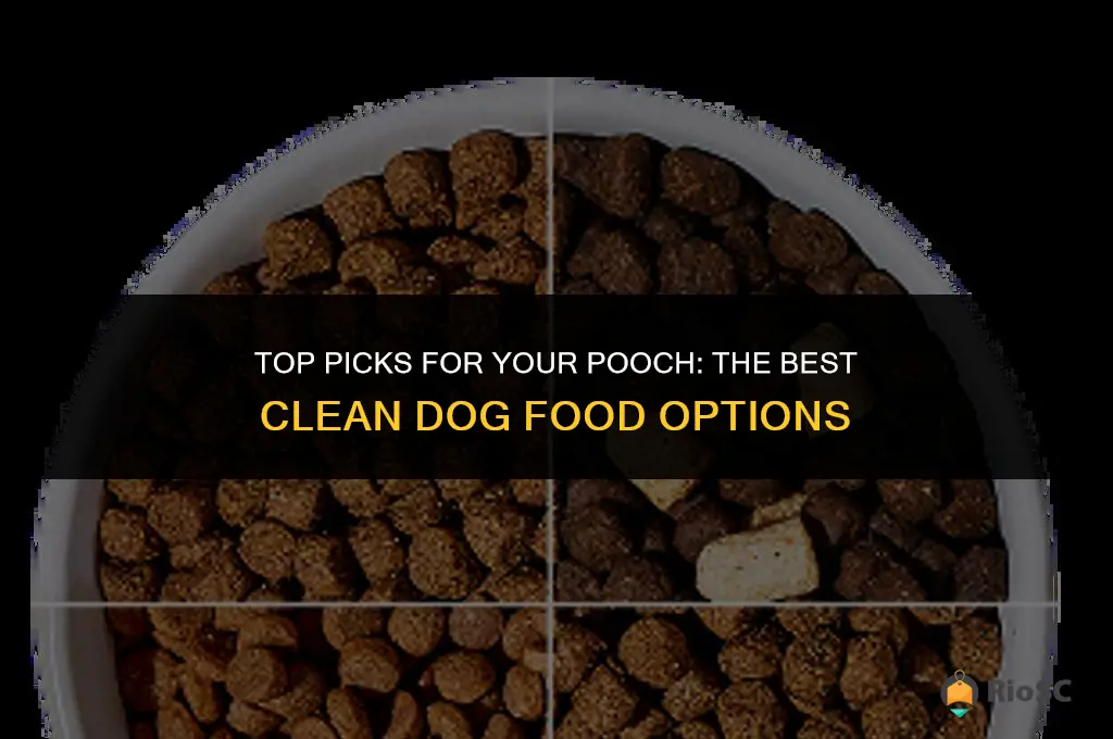 best clean dog food