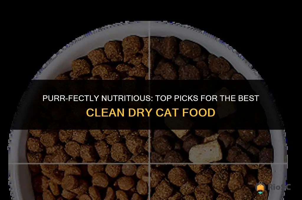 best clean dry cat food