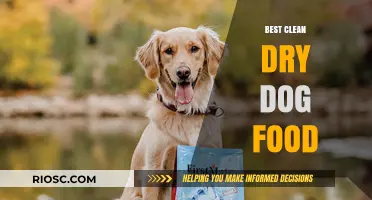 Top Picks for Clean and Dry Dog Food: A Comprehensive Guide