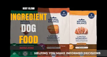 Top Picks for Clean Ingredient Dog Food: Nourishing Your Pet with Wholesome Goodness
