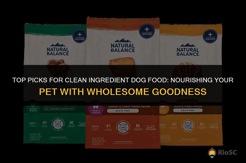 best clean ingredient dog food