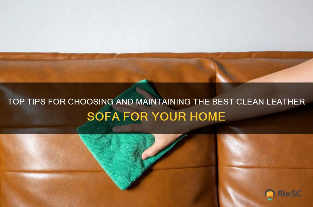 best clean leather sofa