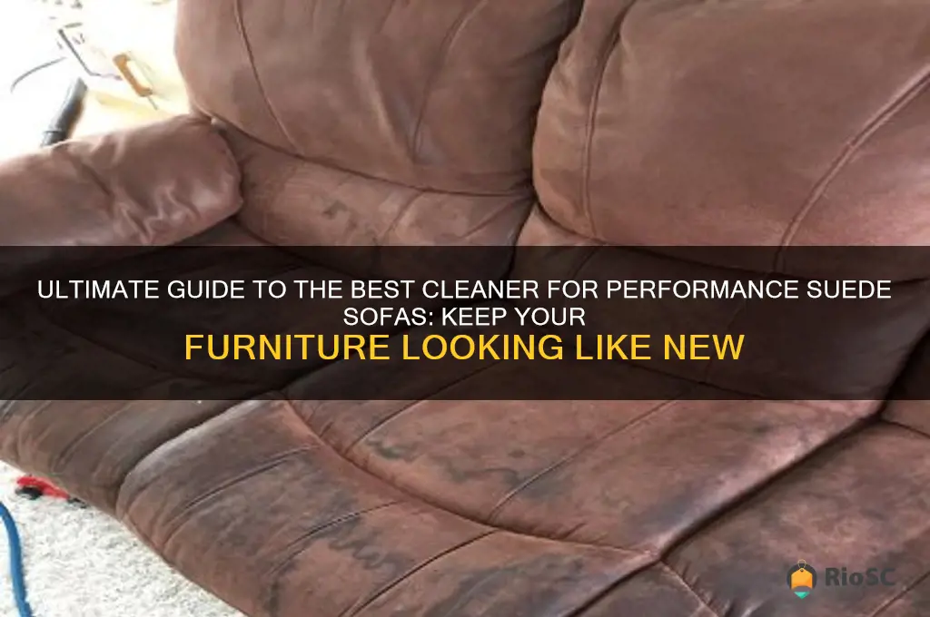 best cleaner for performance suade sofa