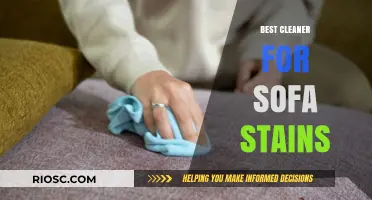 Effective Sofa Stain Removal: Top Cleaners to Restore Your Furniture's Pristine Look