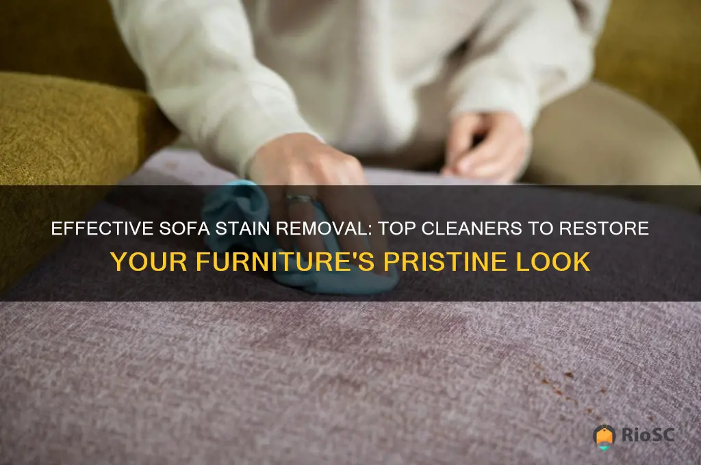 best cleaner for sofa stains