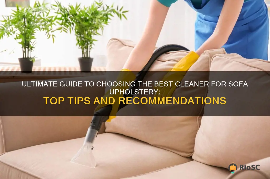 best cleaner for sofa upholstery