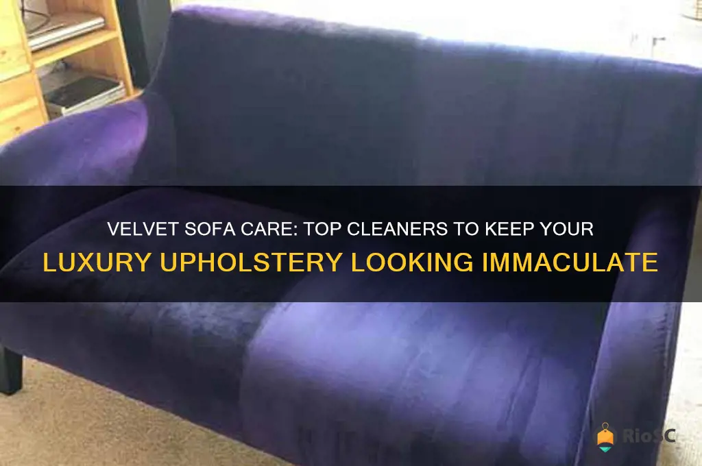best cleaner for velvet sofa