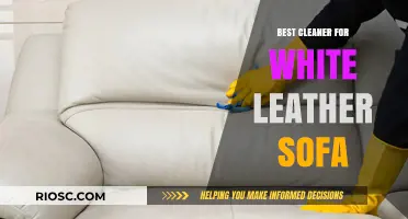 Top-Rated Cleaners to Keep Your White Leather Sofa Spotless and Pristine
