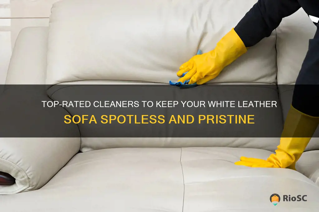 best cleaner for white leather sofa