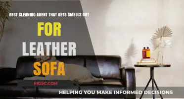 Effective Odor Eliminators for Leather Sofas: Top Cleaning Agents to Freshen Your Furniture