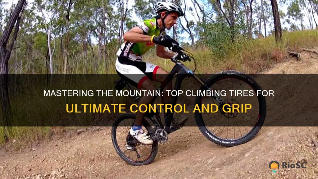 best climbing mountain bike tires