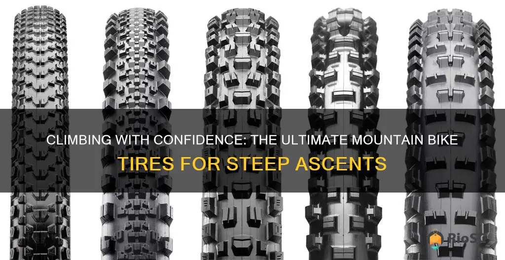 best climbing mountain bike tires