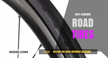 Top-Rated Clincher Road Tires for Speed, Durability, and Performance