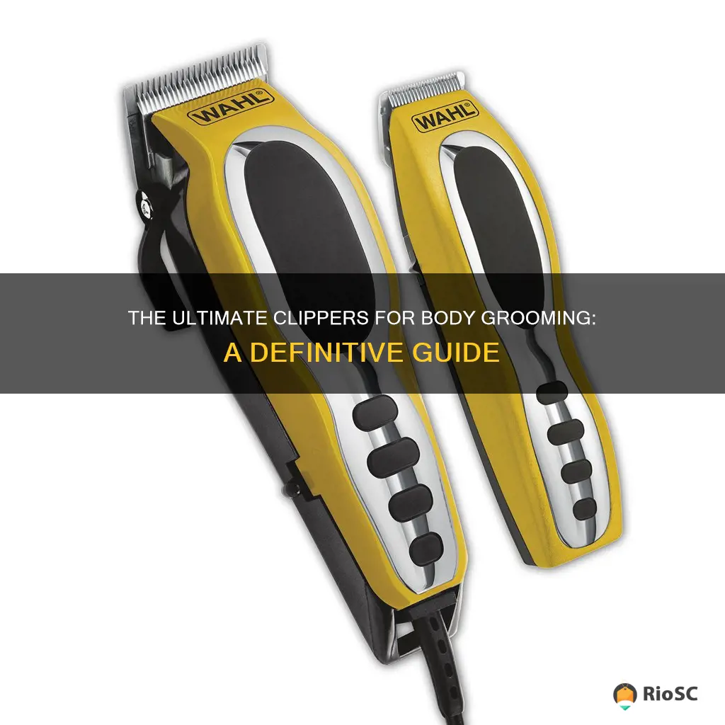 best clippers for body hair