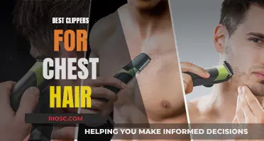 Clipper Control: Navigating the Best Tools for Chest Grooming