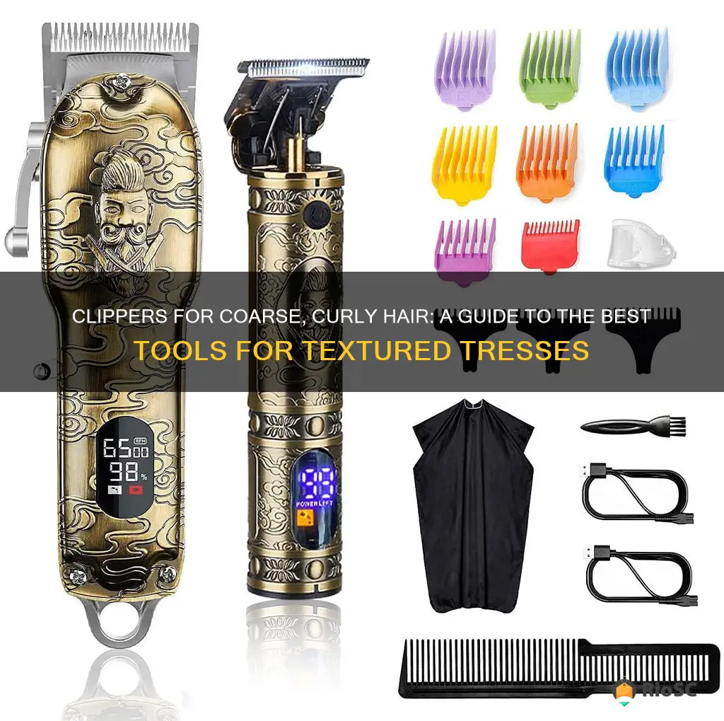 best clippers for ethnic hair