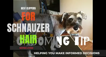 Schnauzer Styling: Clippers for the Perfect Trim