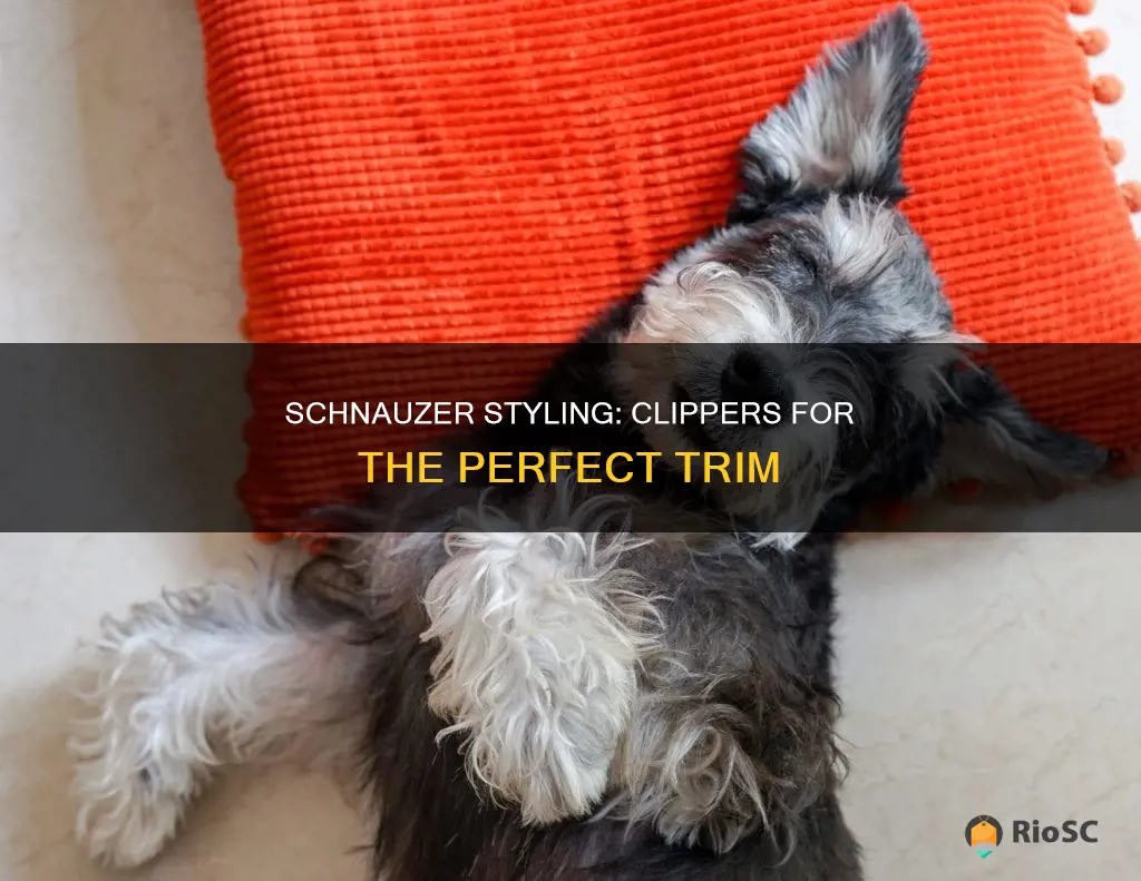 best clippers for schnauzer hair