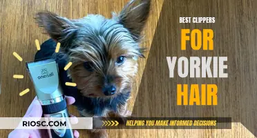 Expert Clippers for Yorkie Hair: A Comprehensive Guide