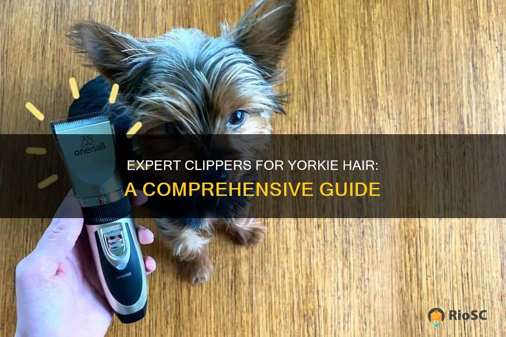 best clippers for yorkie hair