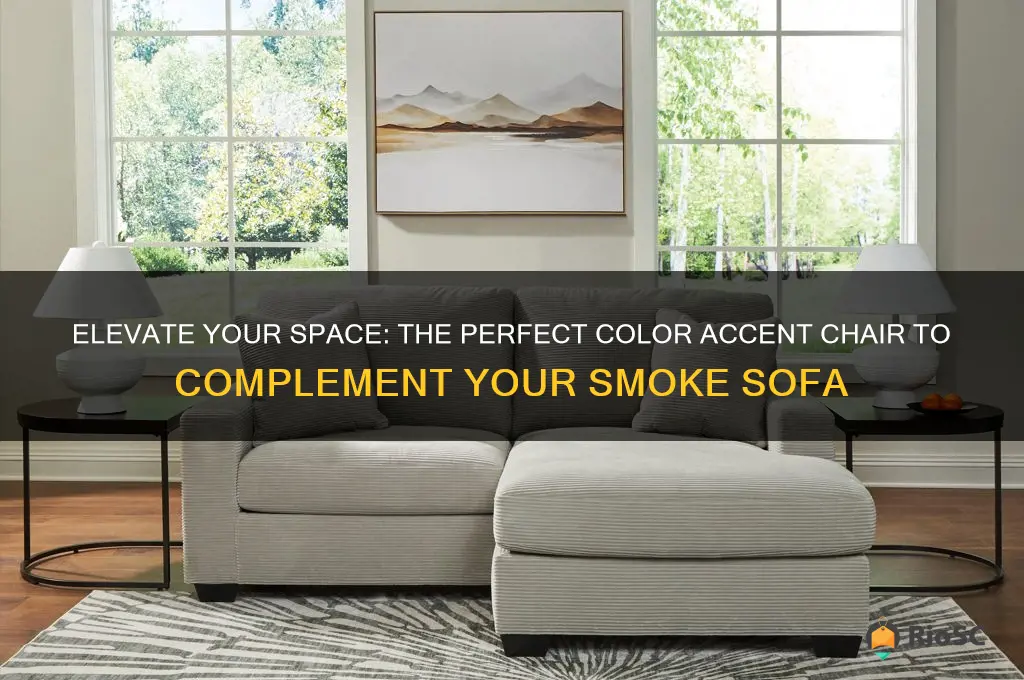best clolr accent chair for smoke sofa