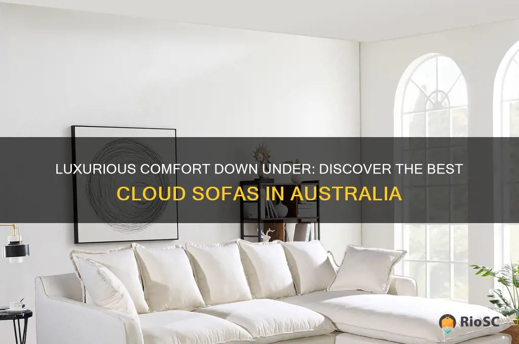 best cloud sofa australia