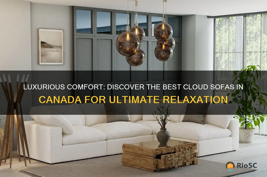 best cloud sofa canada
