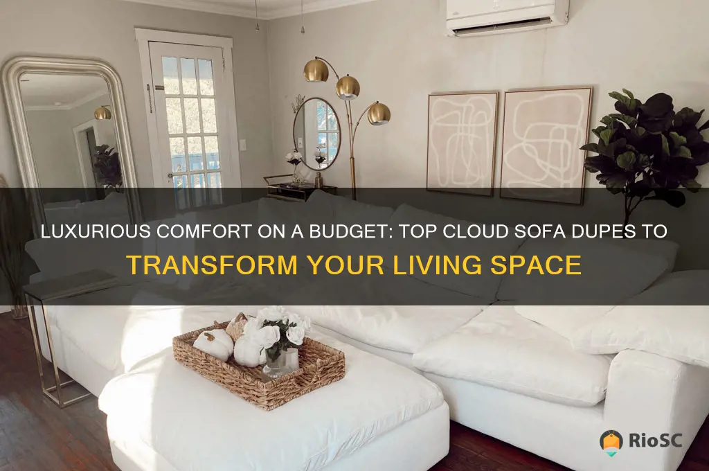 best cloud sofa dupe