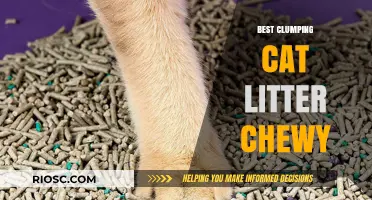 Top Picks for the Best Clumping Cat Litter on Chewy: Keep Your Feline Happy and Your Home Clean