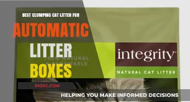 Top Clumping Cat Litter Picks for Seamless Automatic Litter Box Performance