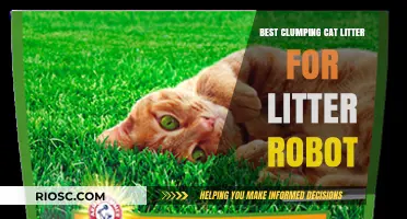 Top Clumping Cat Litter Options for Optimal Litter Robot Performance