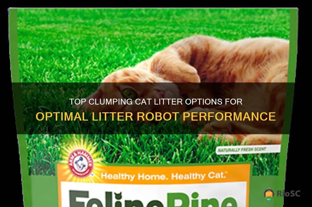 best clumping cat litter for litter robot
