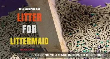 Top Clumping Cat Litter Options for LitterMaid: Keep Your Self-Cleaning Litter Box Fresh and Functional