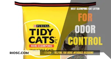 Top Clumping Cat Litter Options for Superior Odor Control and Freshness