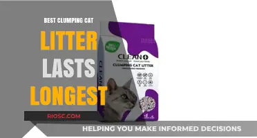 Long-Lasting Clumping Cat Litter: Top Picks for Maximum Odor Control and Durability