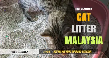 Top Picks for the Best Clumping Cat Litter in Malaysia: Keep Your Feline Friend Happy and Your Home Clean