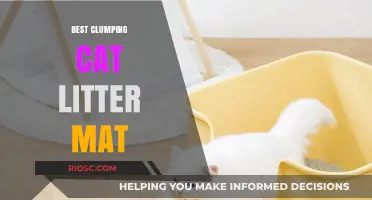 Top Picks for Clumping Cat Litter Mats: Keep Your Floors Clean and Tidy