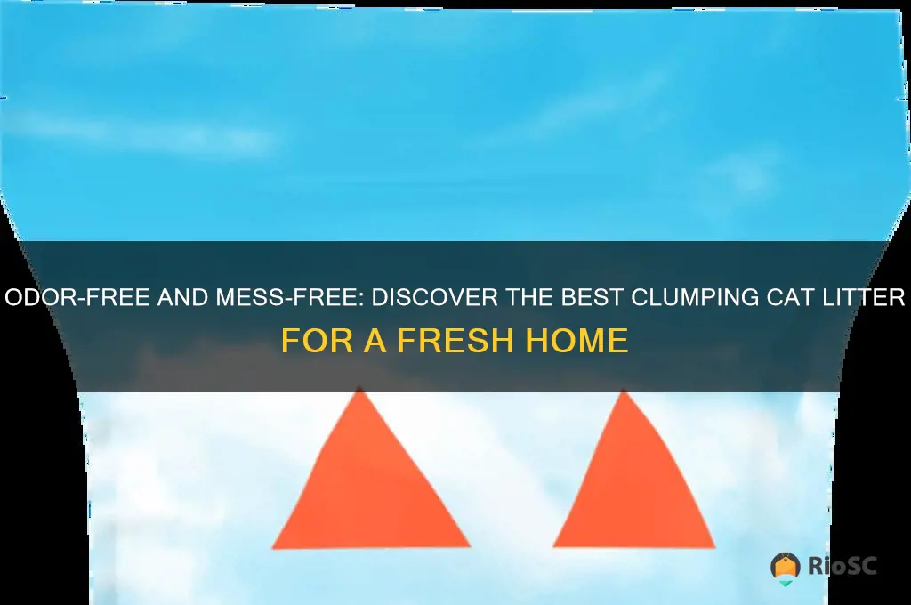 best clumping cat litter no smell