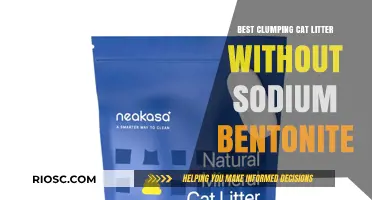 Safe and Effective: Top Clumping Cat Litter Options Free from Sodium Bentonite