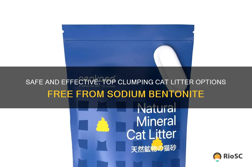 best clumping cat litter without sodium bentonite