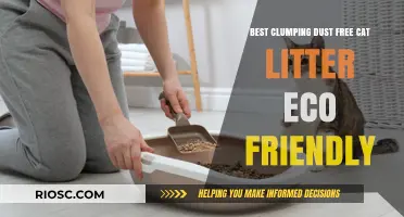 Eco-Friendly Clumping Cat Litter: Top Dust-Free Options for a Cleaner, Greener Home