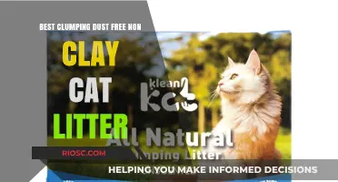 Top Picks for Dust-Free, Non-Clay Clumping Cat Litter: Keep Your Home Clean and Your Cat Happy
