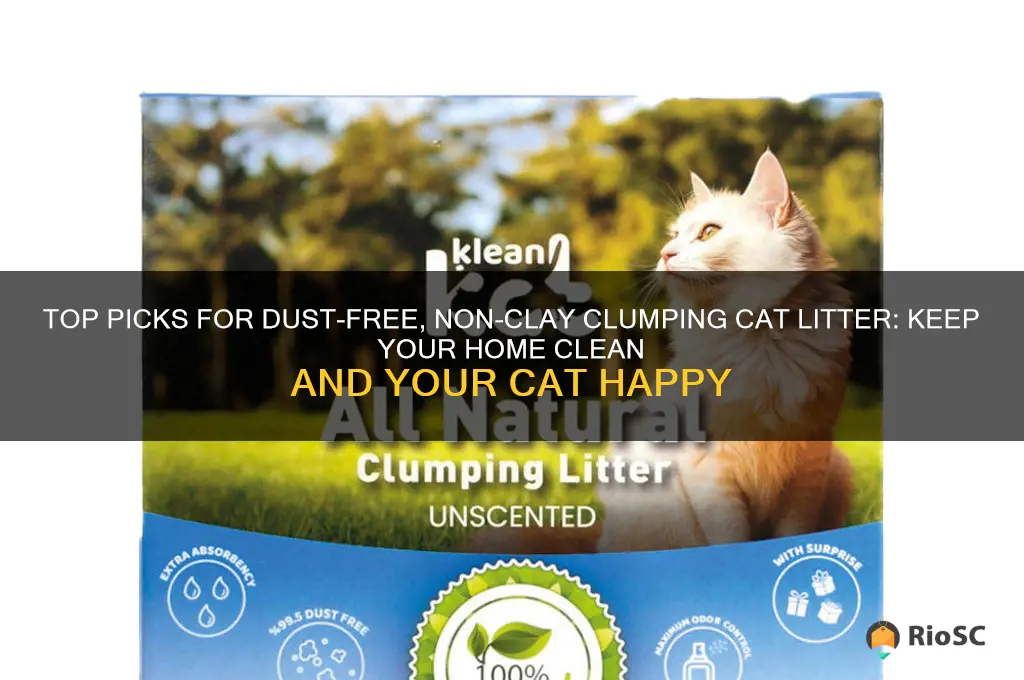 best clumping dust free non clay cat litter