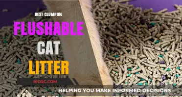 Top Picks for Eco-Friendly Pet Care: Best Clumping Flushable Cat Litter Options