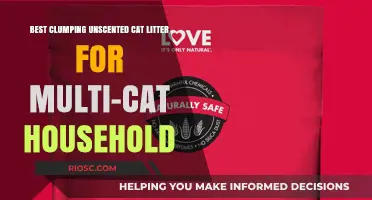 Top Clumping Unscented Cat Litter Options for Multi-Cat Homes: Odor Control and Easy Cleanup