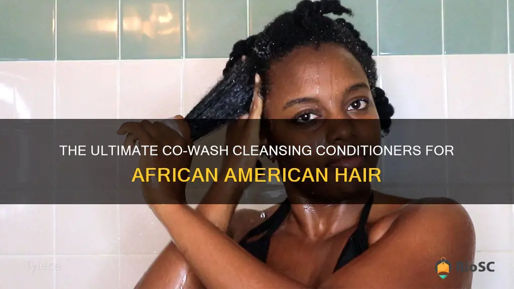 best co wash for african american hair