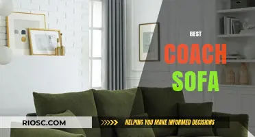 Ultimate Guide to Choosing the Best Coach Sofa for Comfort and Style