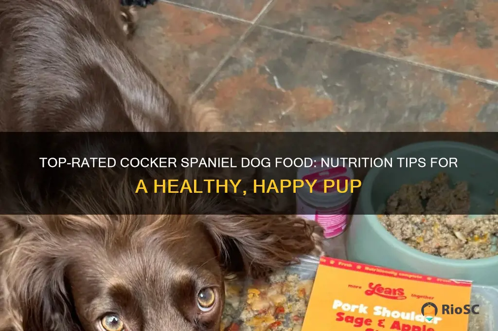 best cocker spaniel dog food