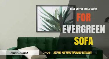 Perfect Pair: Best Coffee Table Colors to Complement Your Evergreen Sofa